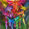 Colorful Dream Catcher Dragonflies Paint By Numbers