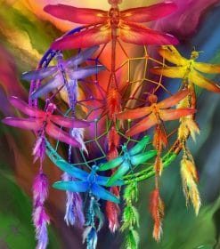 Colorful Dream Catcher Dragonflies Paint By Numbers