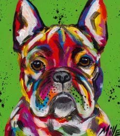 Colorful French Bulldog Paint By Numbers