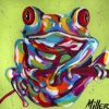 Colorful Frog Paint By Numbers