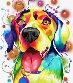 Colorful Retriever Dog Paint By Numbers