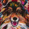 Colorful Sheepdog Paint By Numbers