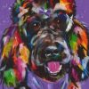 Colorful Standard Poodle Paint By Numbers