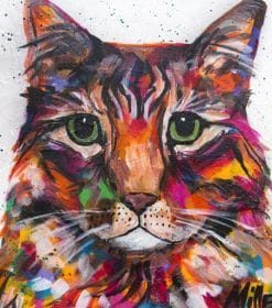 Colorful Tabby Cat Paint By Numbers