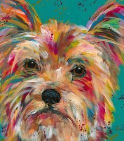 Colorful Yorkie Dog Paint By Numbers