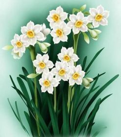 Daffodil Flowers Paint By Numbers