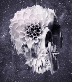 Decay Skull Paint By Numbers