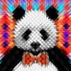 Diamond Panda Paint By Numbers