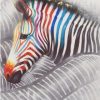 Different Zebra Paint By Numbers