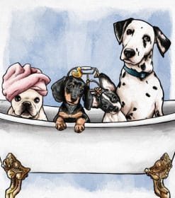 Dogs in the Tub Paint By Numbers