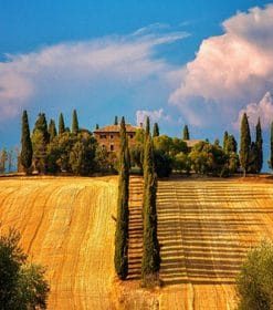 Farm At Harvest Season Paint By Numbers