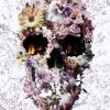 Floral Upland Skull Paint By Numbers