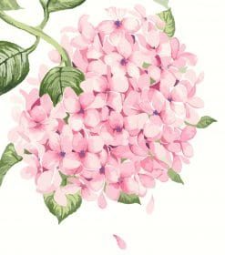 Gorgeous Pink Flowers Paint By Numbers