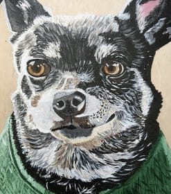 Gray Chihuahua Paint By Numbers