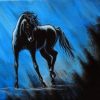 Horse Midnight Paint By Numbers