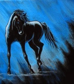 Horse Midnight Paint By Numbers