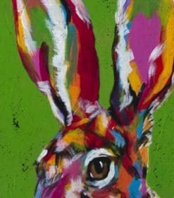 Jackrabbit Paint By Numbers