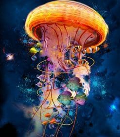 Jellyfish Galaxy Paint By Numbers