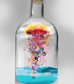 Jellyfish In Bottle Paint By Numbers