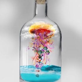 Jellyfish In Bottle Paint By Numbers