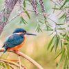 Kingfisher Paint By Numbers