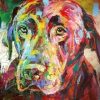 Labrador Colorful Paint By Numbers