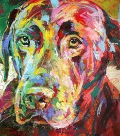 Labrador Colorful Paint By Numbers