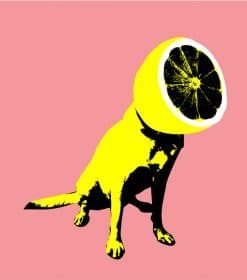 Lemon Dog Paint By Numbers