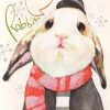 Little White Rabbit Paint By Numbers