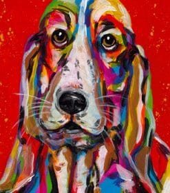 Long Ears Basset Dog Paint By Numbers