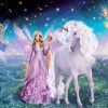 Magical Unicorns and Fairies Paint By Numbers