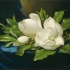 Magnolias On A Blue Velvet Paint By Numbers