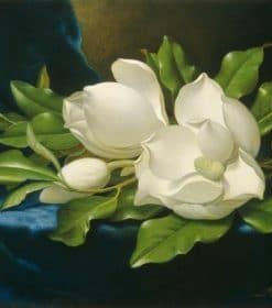 Magnolias On A Blue Velvet Paint By Numbers