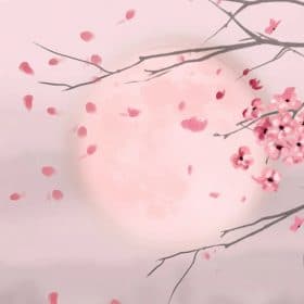 Moon And Cherry Blossom Paint By Numbers