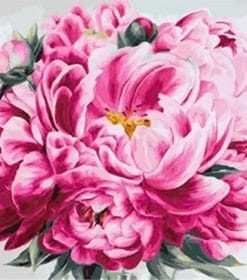 Peony Collection Flowers Paint By Numbers