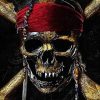 Pirates Skull Still Life Paint By Numbers