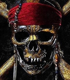 Pirates Skull Still Life Paint By Numbers