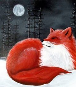 Red Fox At Snow Paint By Numbers