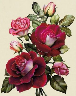 Rose Red Flowers Paint By Numbers