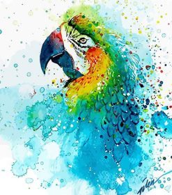 Splashed Parrot Paint By Numbers