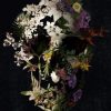 Spring Skull Paint By Numbers