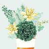 Succulent Bouquet Paint By Numbers