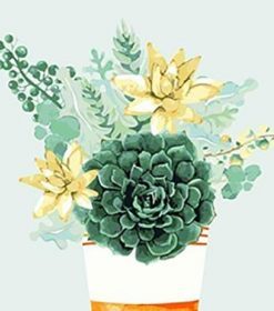 Succulent Bouquet Paint By Numbers