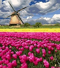 Travel to Tulips Paint By Numbers