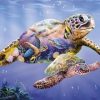 Underwater Sea Turtle Paint By Numbers