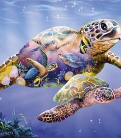 Underwater Sea Turtle Paint By Numbers