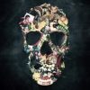 Vintage Skull Paint By Numbers