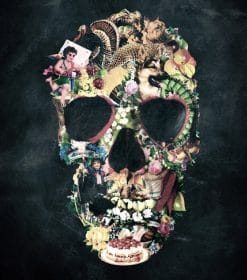 Vintage Skull Paint By Numbers