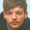 Handsome Louis Tomlinson NEW Paint By Numbers