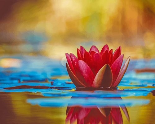 Lotus In The Water NEW Paint By Numbers